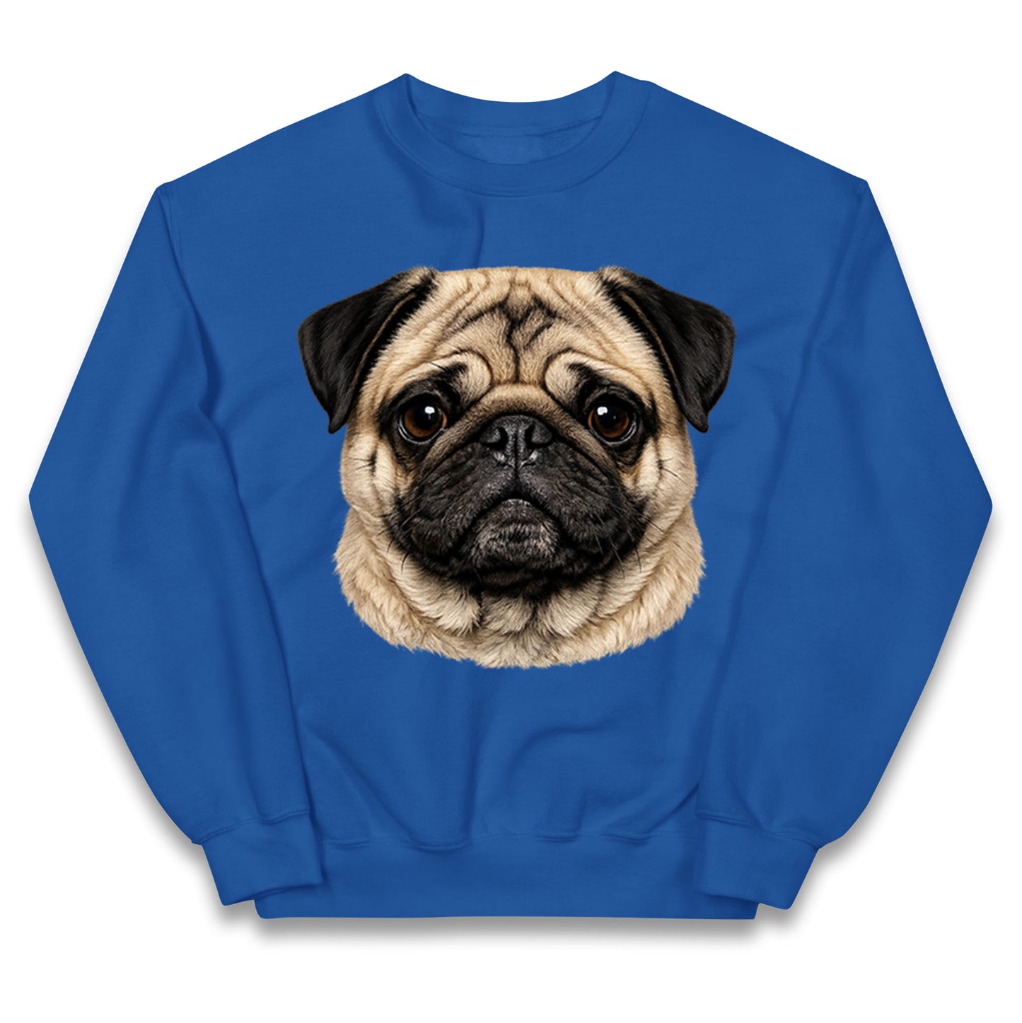 Pug Dog Face Kids Jumper
