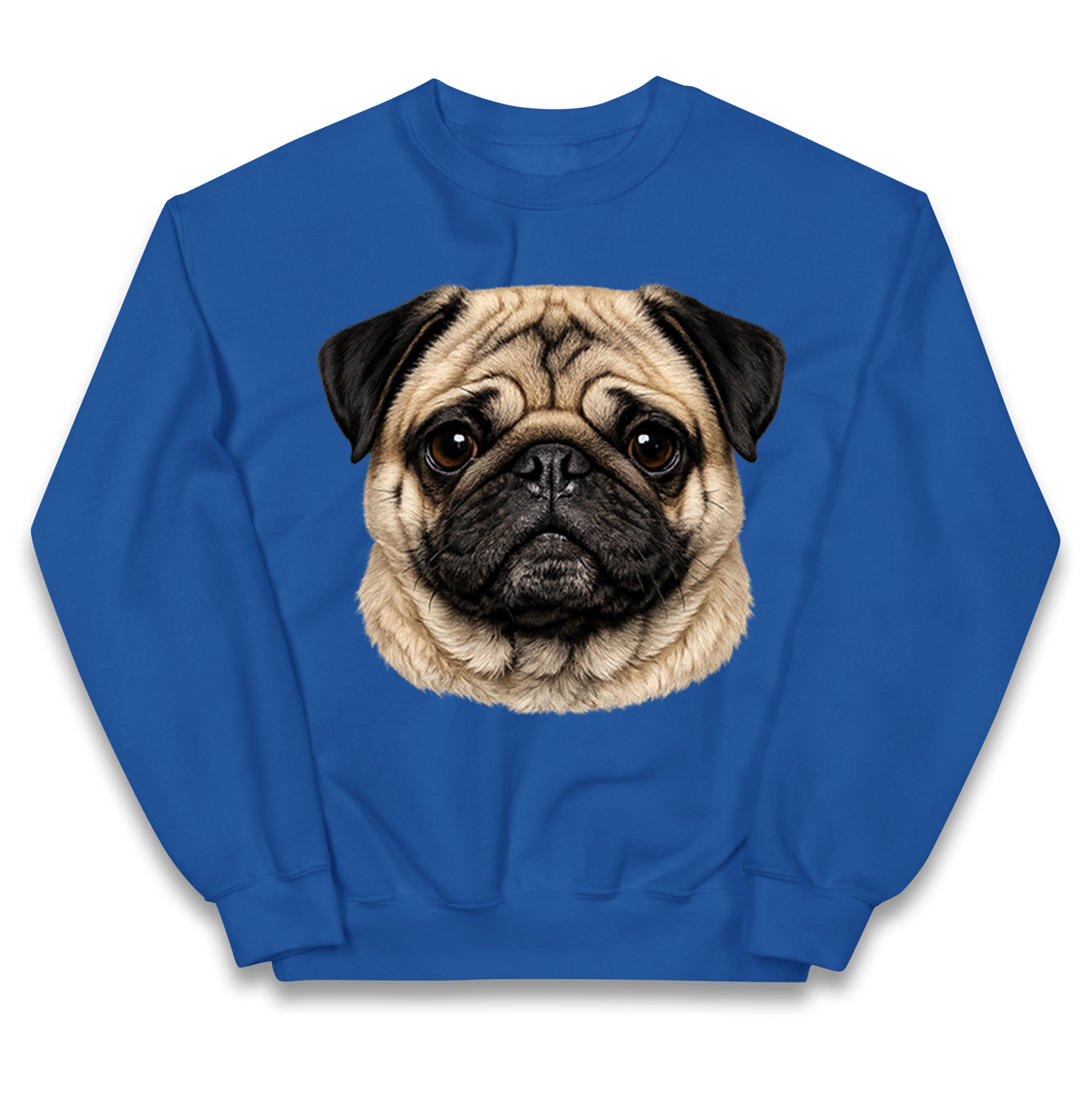 Pug Dog Face Kids Jumper