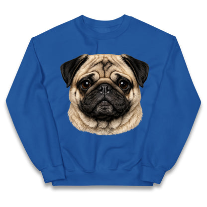 Pug Dog Face Kids Jumper