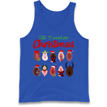 All I Want For Christmas Vagina Funny Tank Top