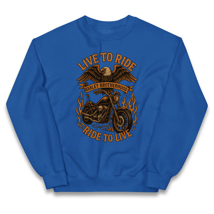Harley Brotherhood Kids Jumper