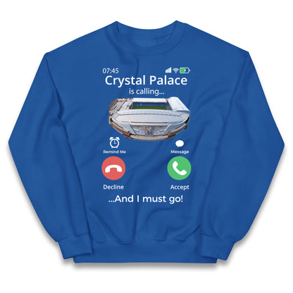 crystal palace jumper kids