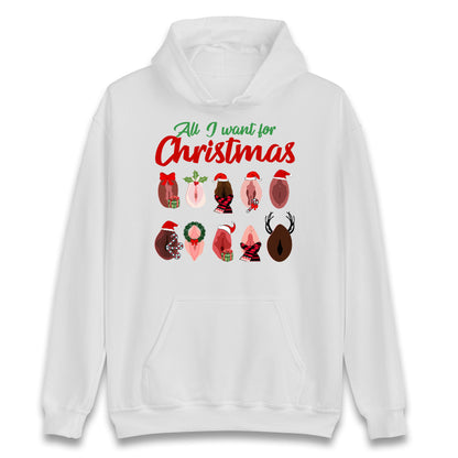 All I Want For Christmas Vagina Funny Hoodie