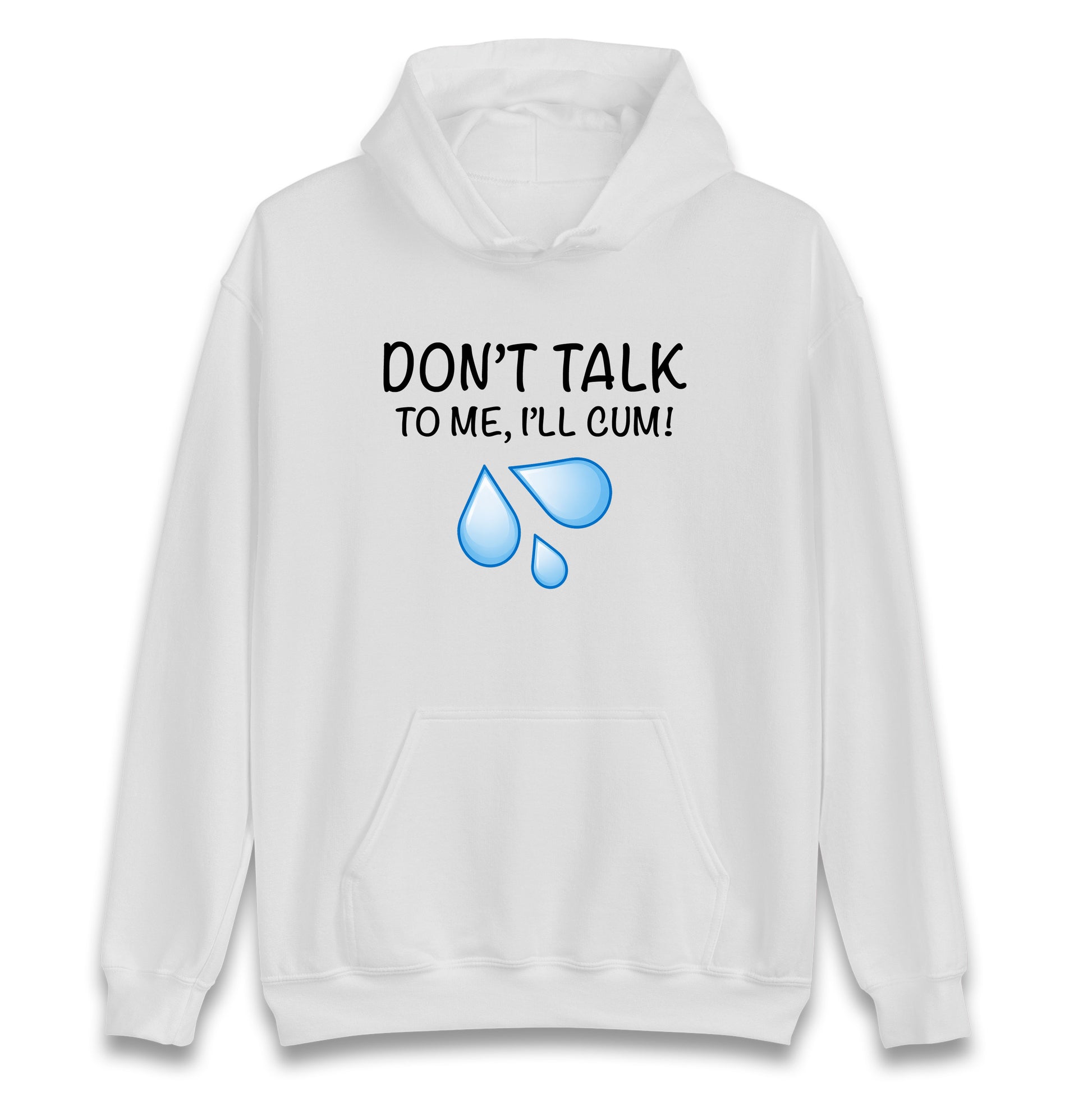Don't Talk To Me I'll Cum Hoodie