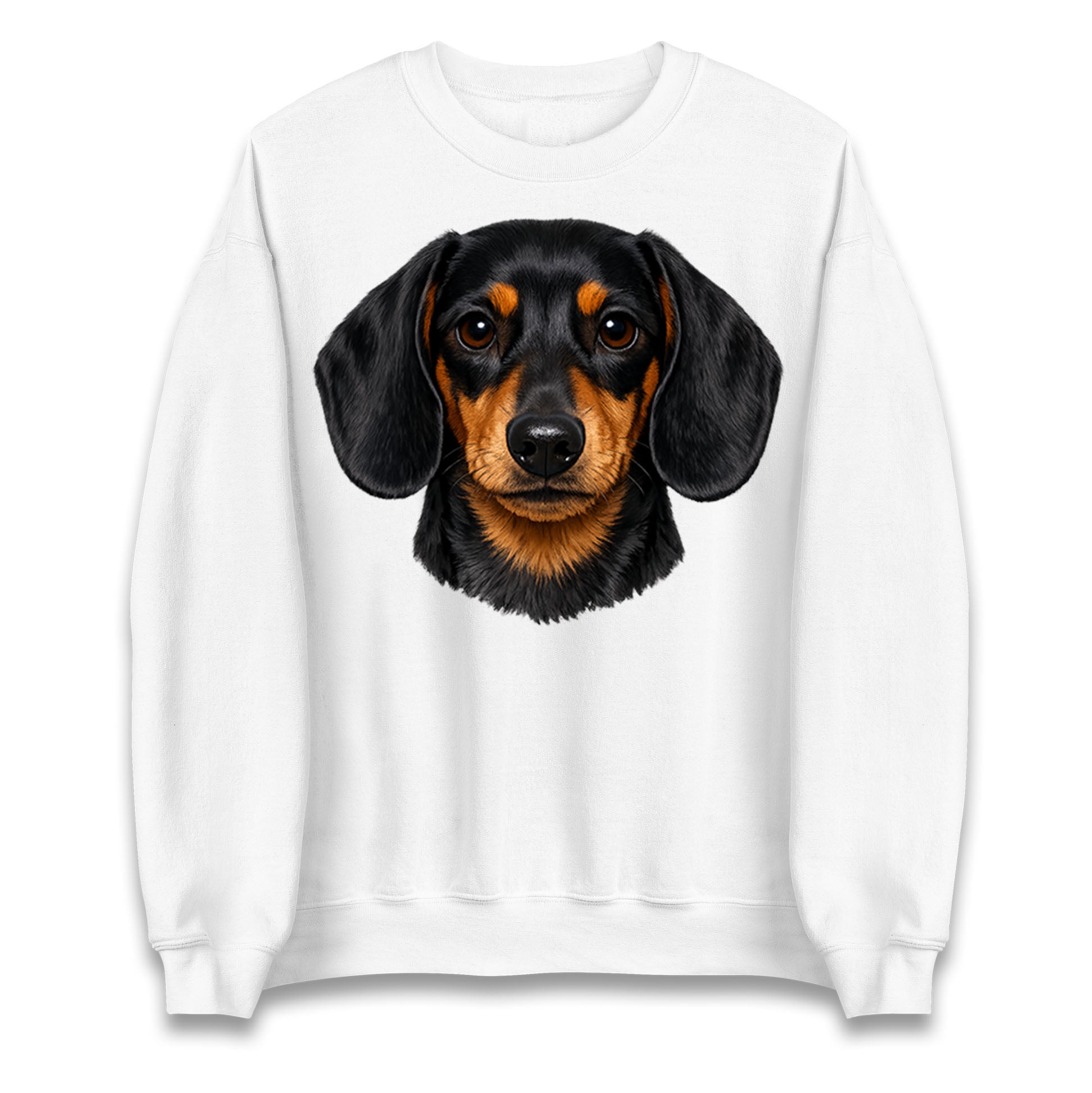 Dachshund Dog Face Jumper