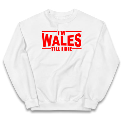 I'm Wales Till I Die Kids Jumper