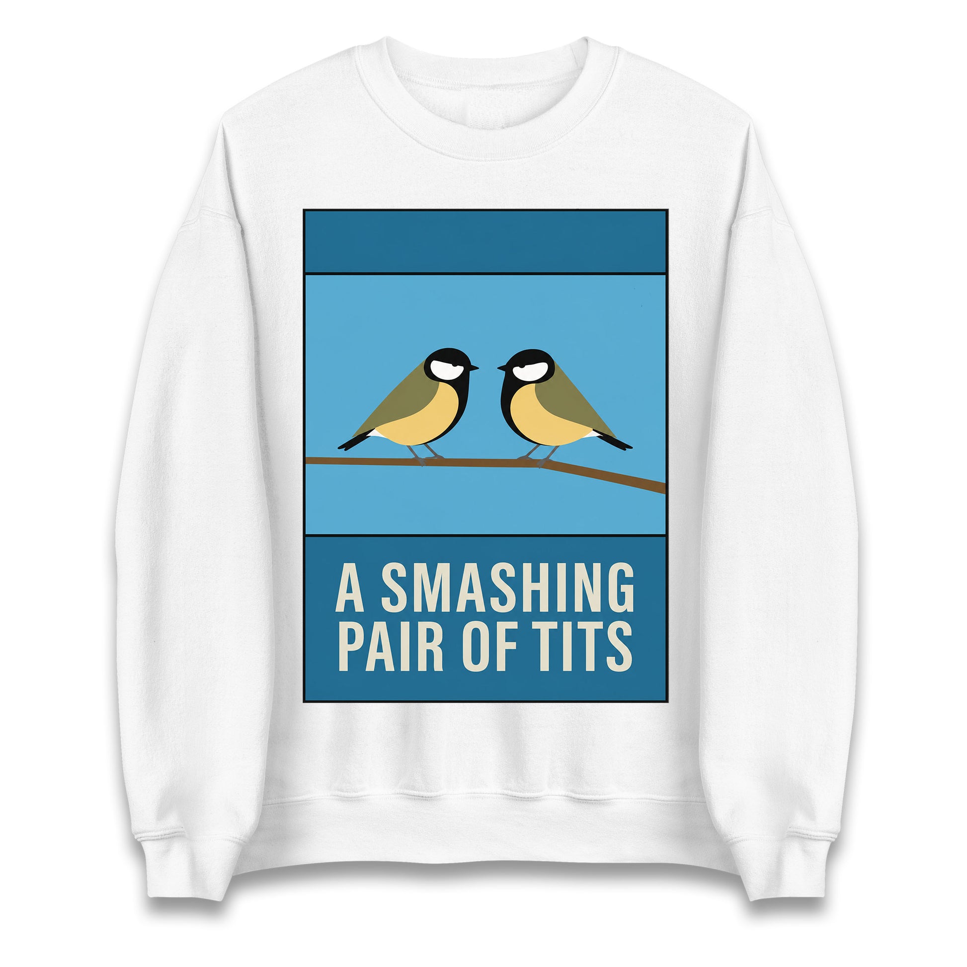 A Smashing Pair Of Tits Jumper