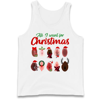 All I Want For Christmas Vagina Funny Tank Top