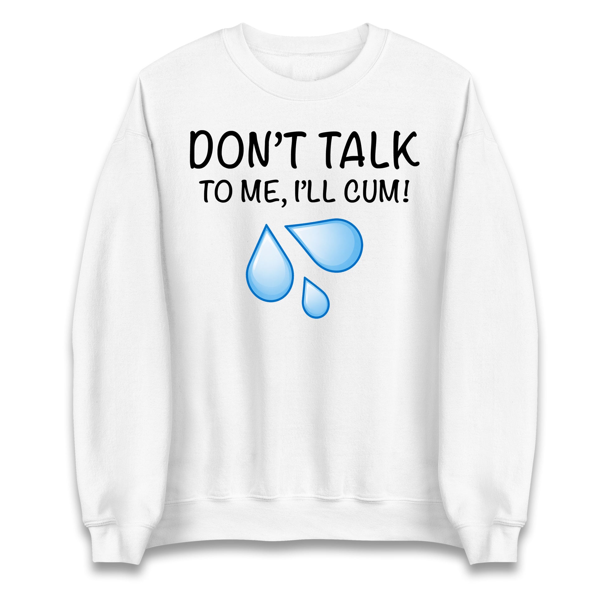 Don't Talk To Me I'll Cum Jumper