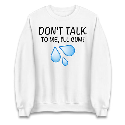 Don't Talk To Me I'll Cum Jumper