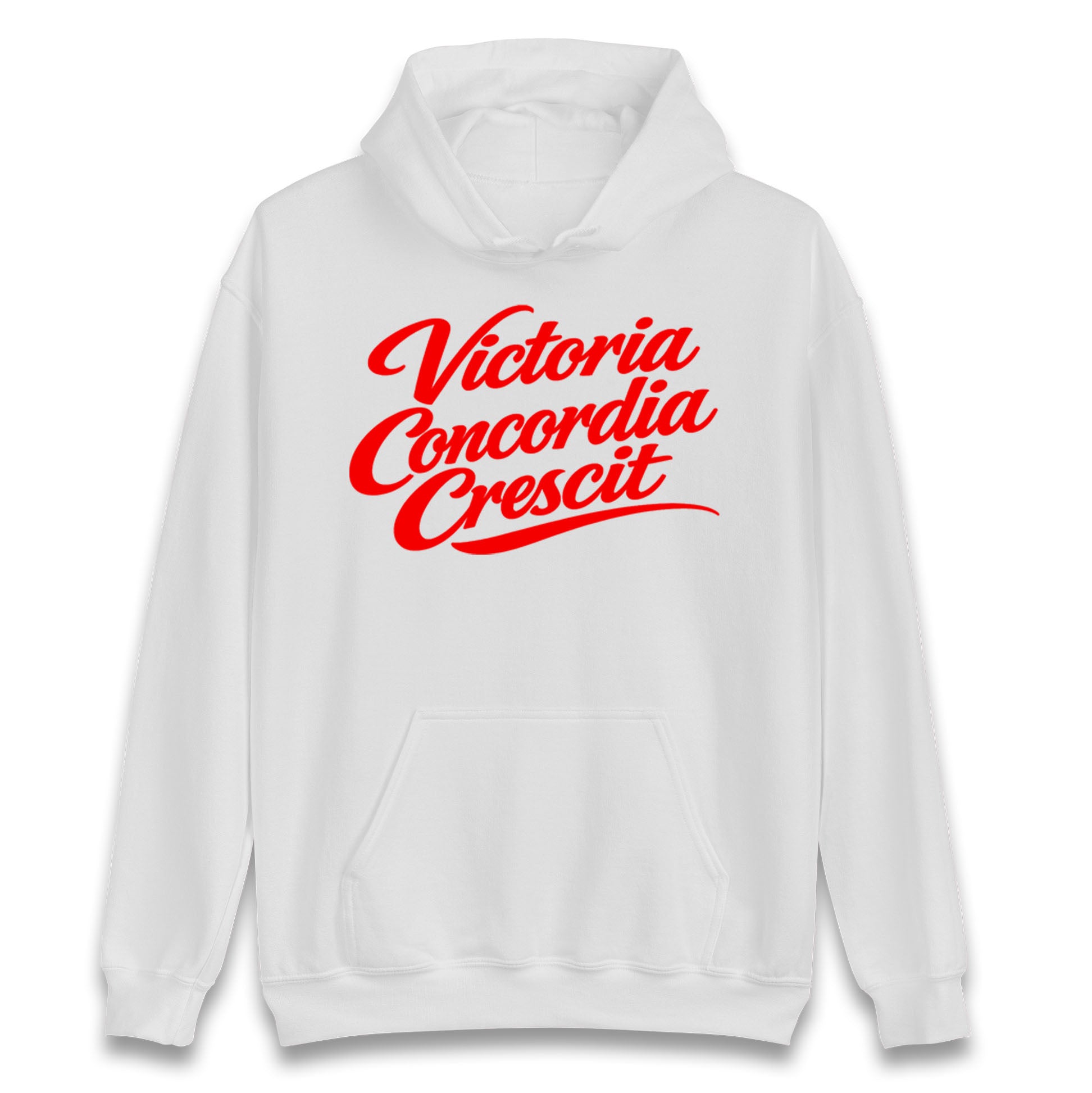 Arsenal Motto Hoodie