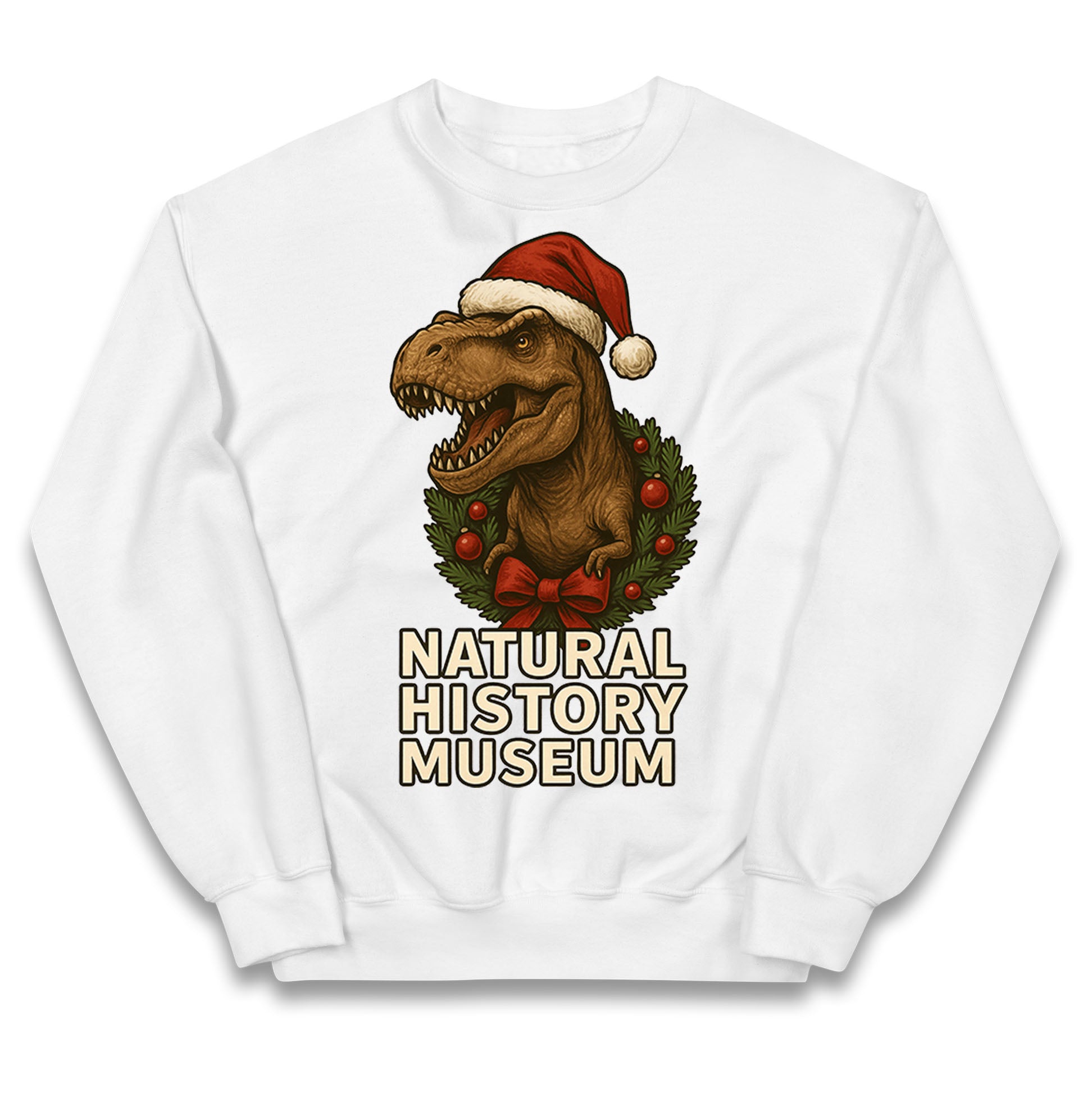 Natural History Museum Christmas Kids Jumper