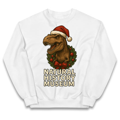 Natural History Museum Christmas Kids Jumper