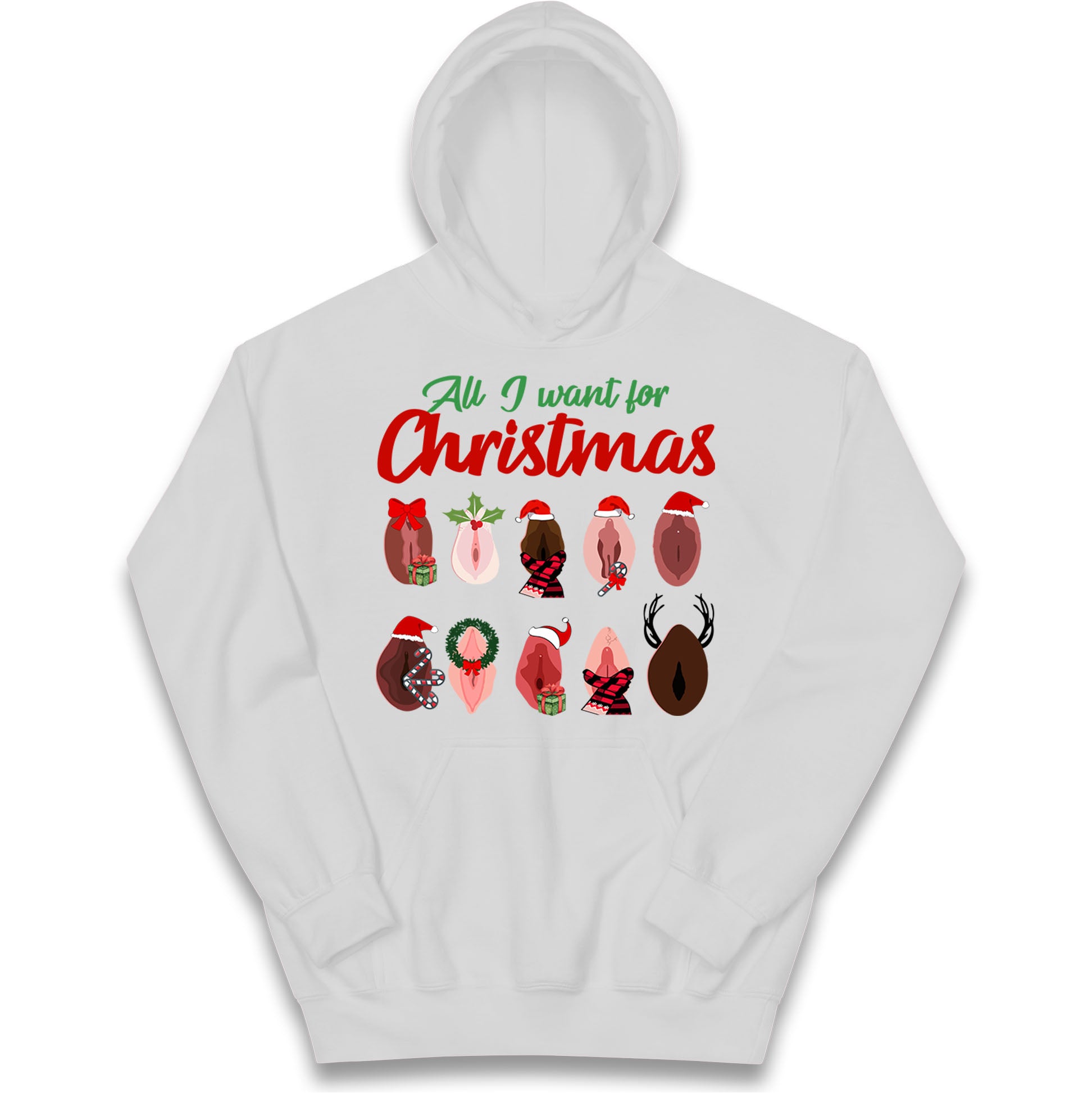 All I Want For Christmas Vagina Funny Hoodie
