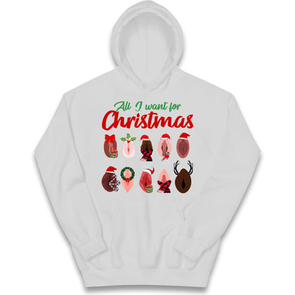All I Want For Christmas Vagina Funny Hoodie