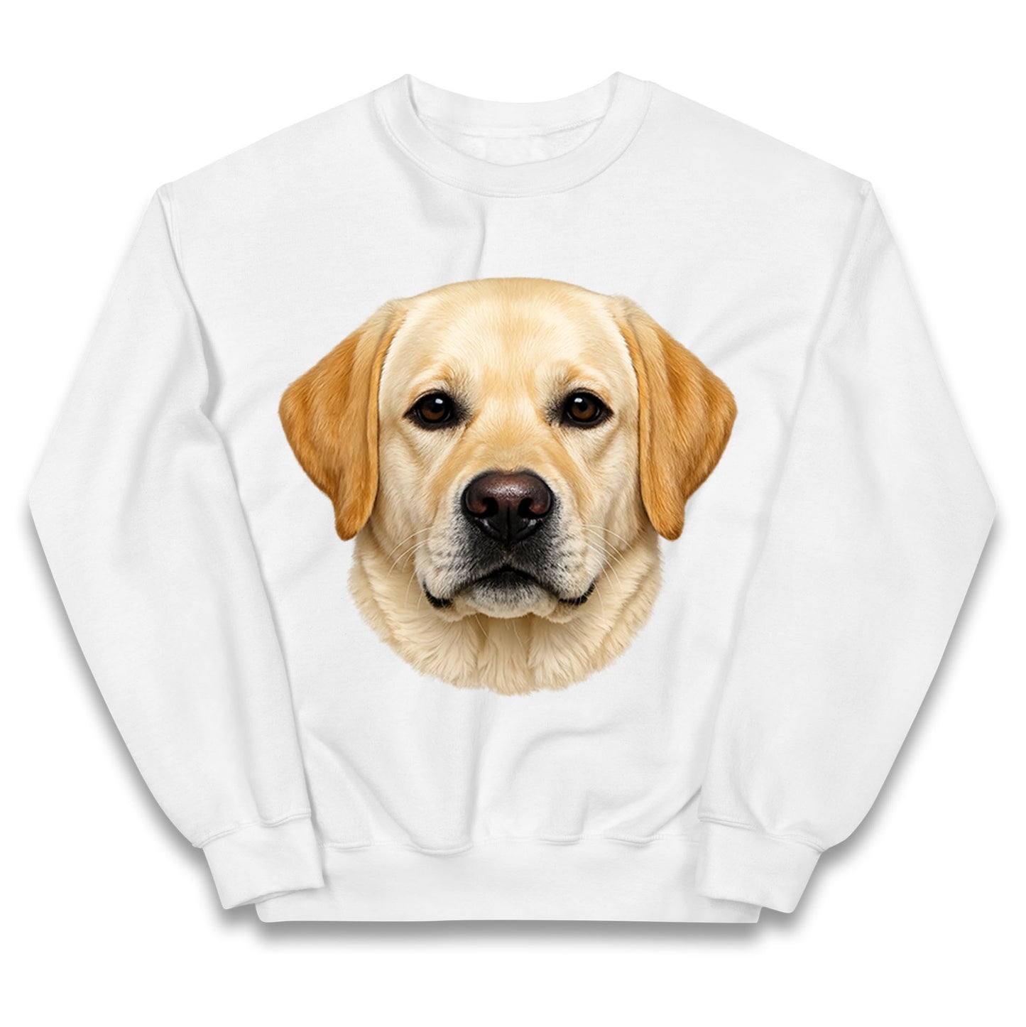 Labrador Dog Face Kids Jumper