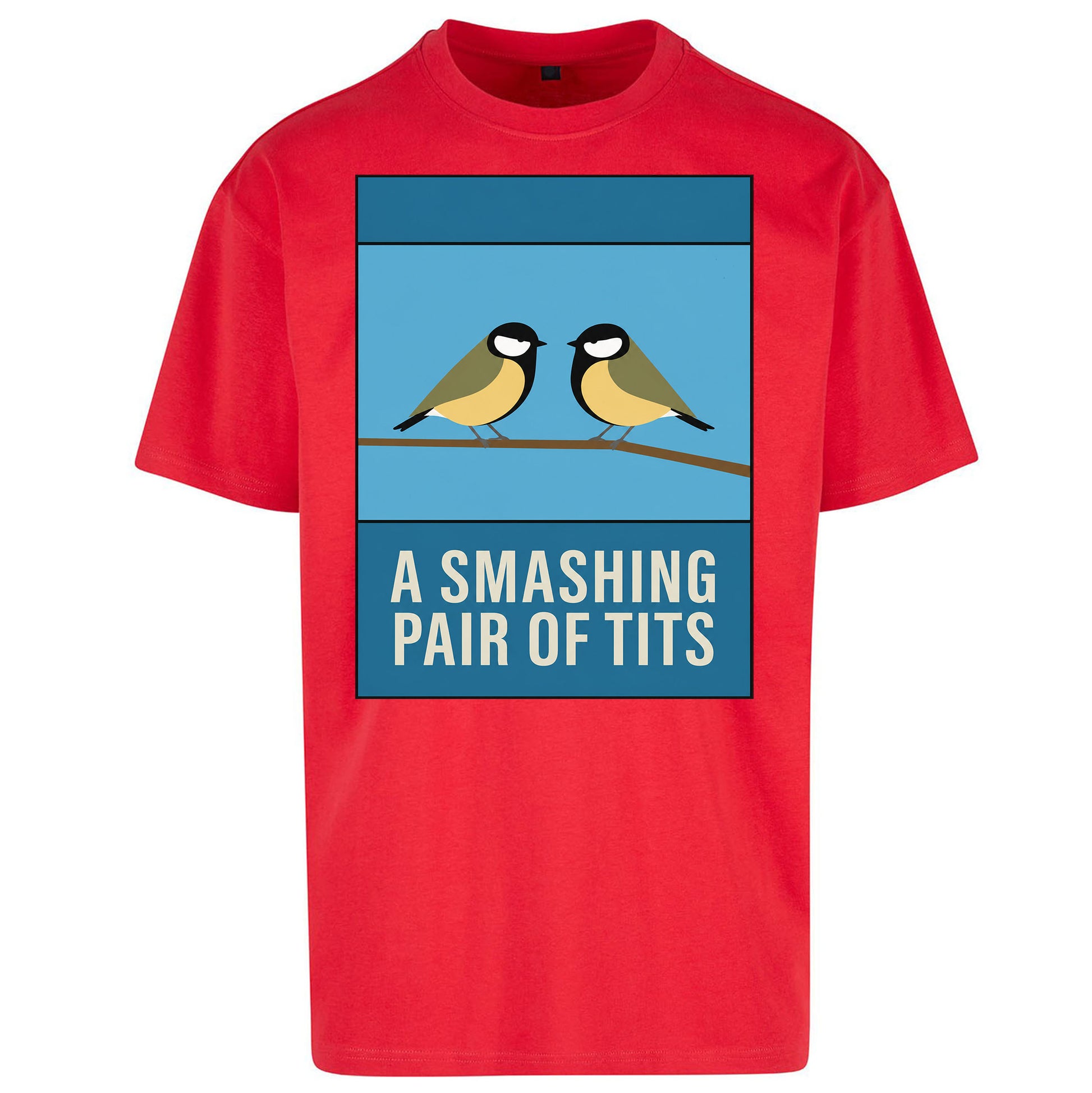 A Smashing Pair Of Tits Oversized T Shirt