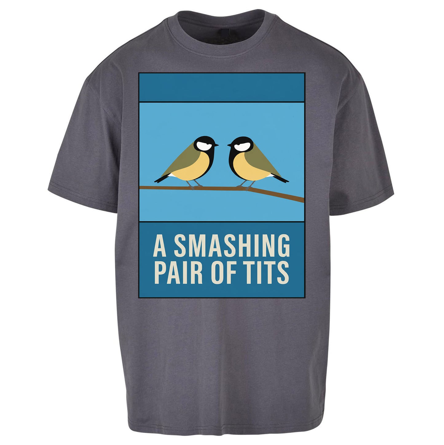 A Smashing Pair Of Tits Oversized T Shirt