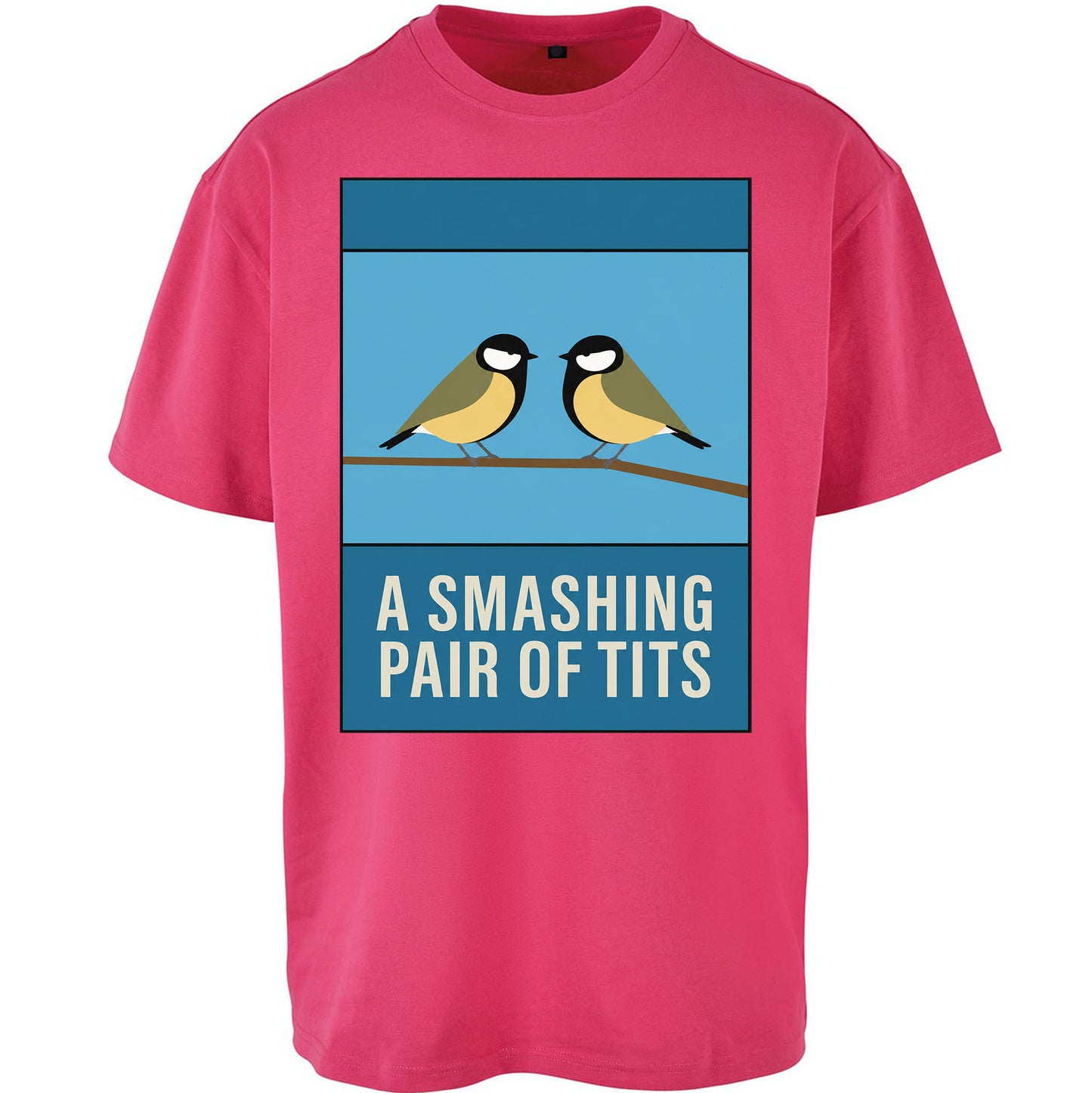 A Smashing Pair Of Tits Oversized T Shirt