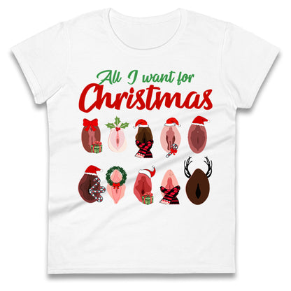 All I Want For Christmas Vagina Funny T Shirt