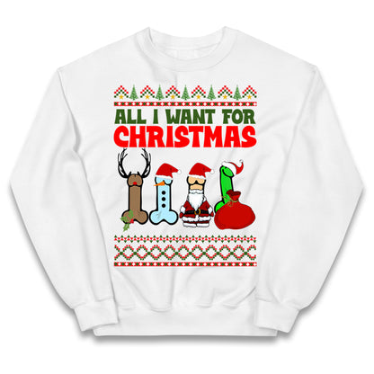 All I Want For Christmas Funny Jumper