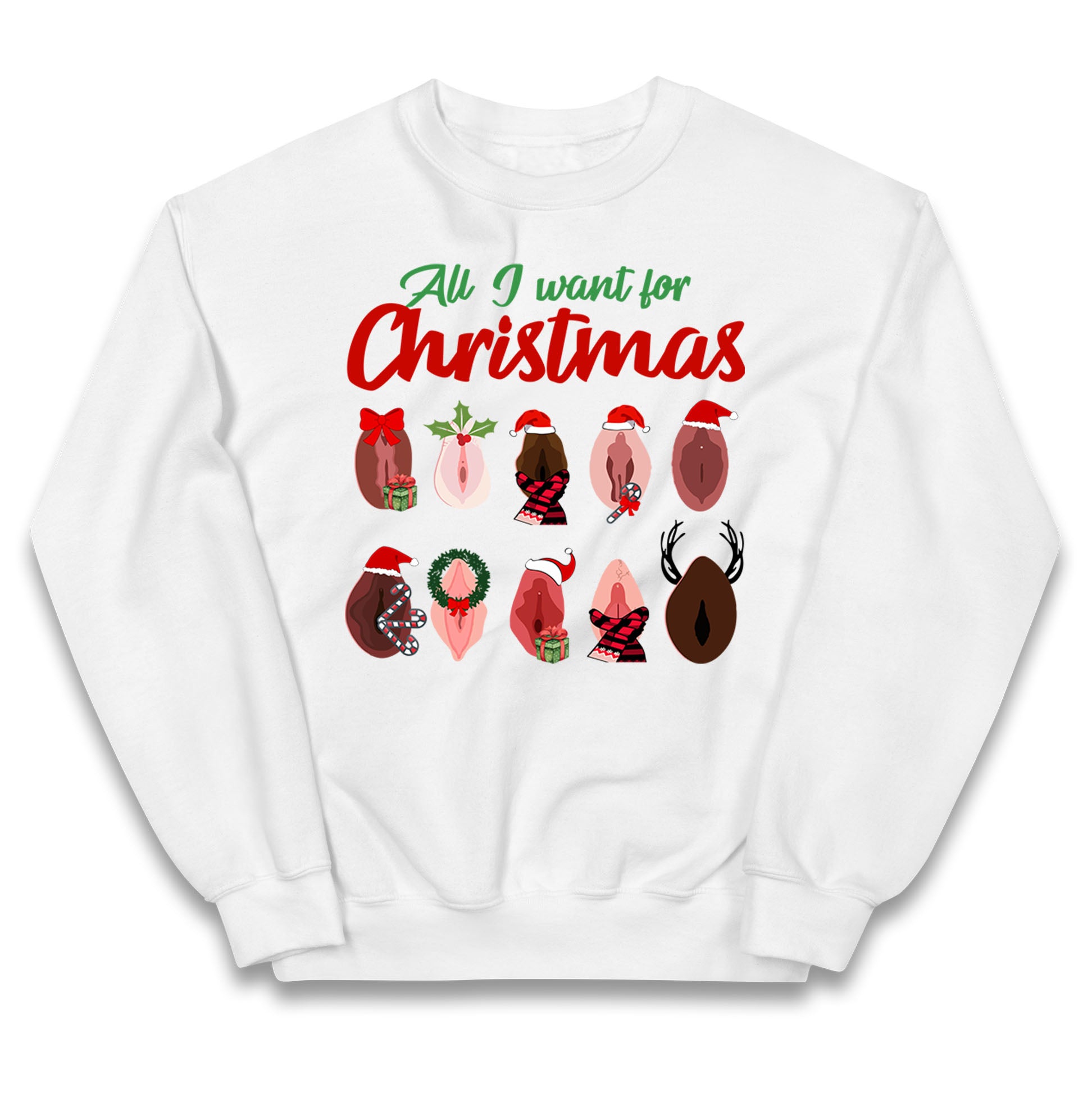All I Want For Christmas Vagina Funny Jumper