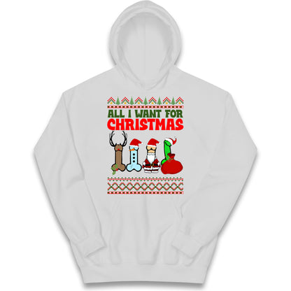 All I Want For Christmas Funny Adults Joke Hoodie