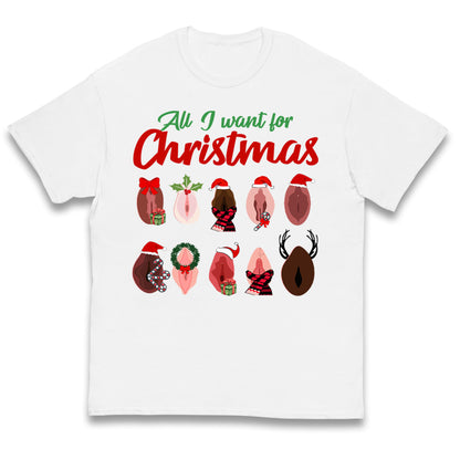All I Want For Christmas Vagina Funny T Shirt