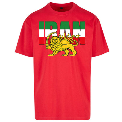 Iran Flag Oversized T Shirt