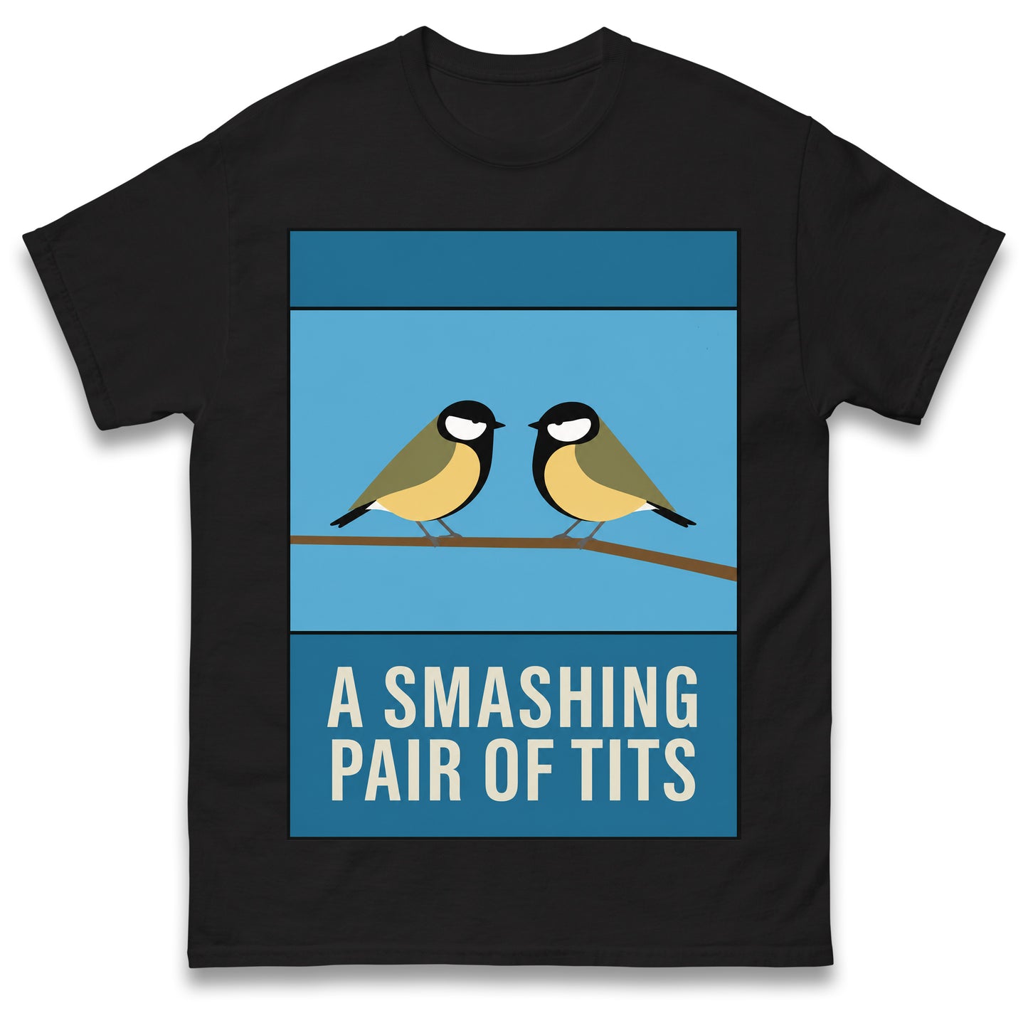 A Smashing Pair of Tits T Shirt