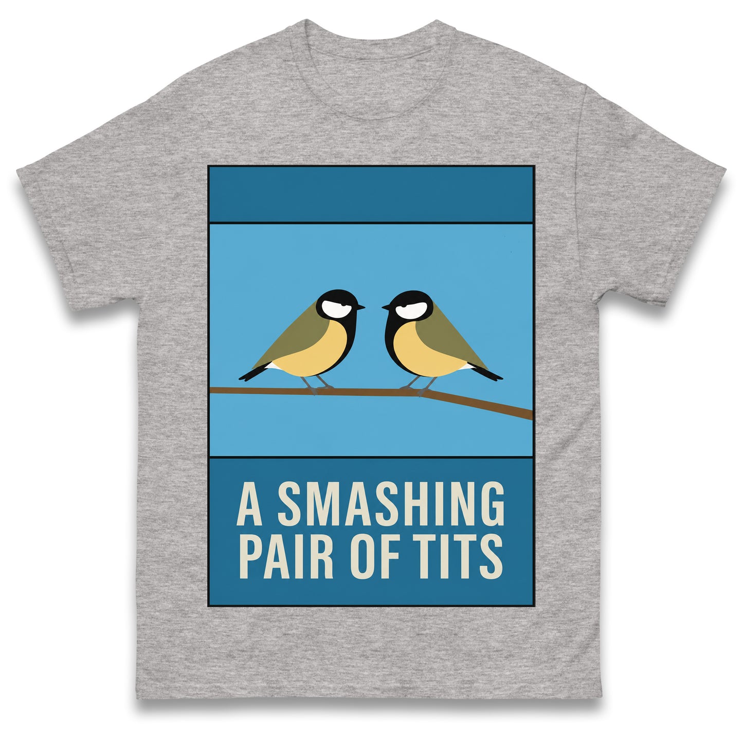 A Smashing Pair of Tits T Shirt