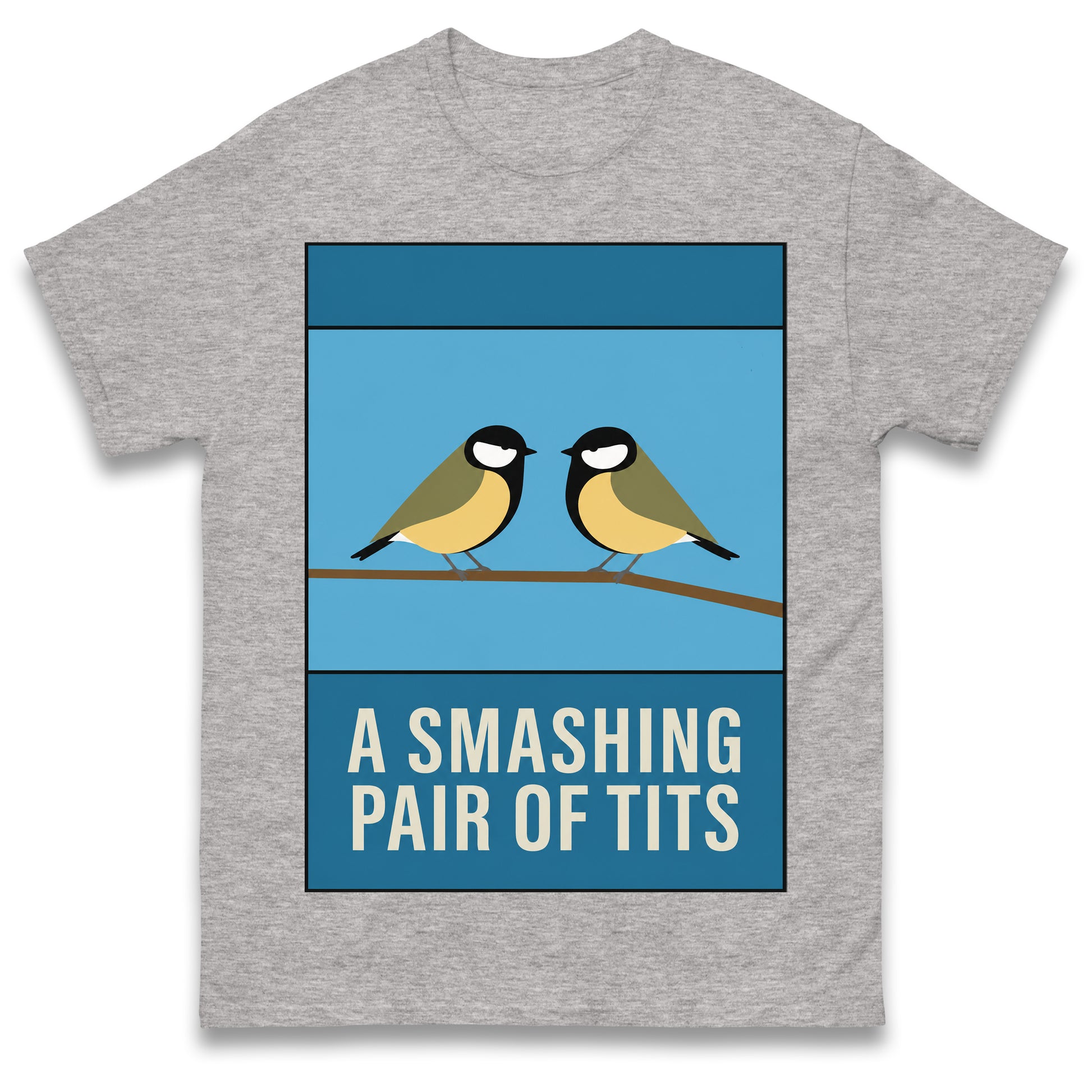 A Smashing Pair of Tits T Shirt