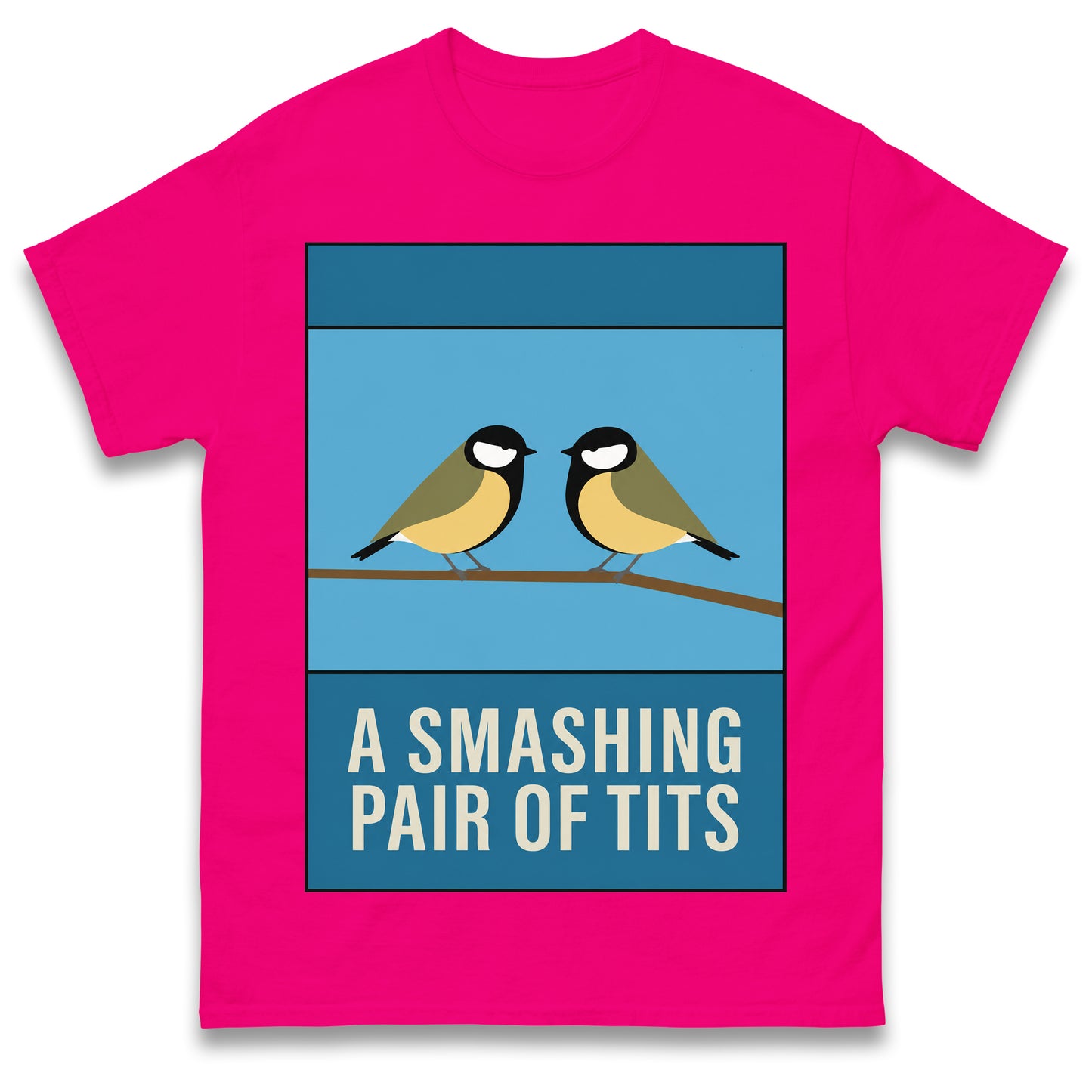 A Smashing Pair of Tits T Shirt