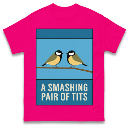 A Smashing Pair of Tits T Shirt