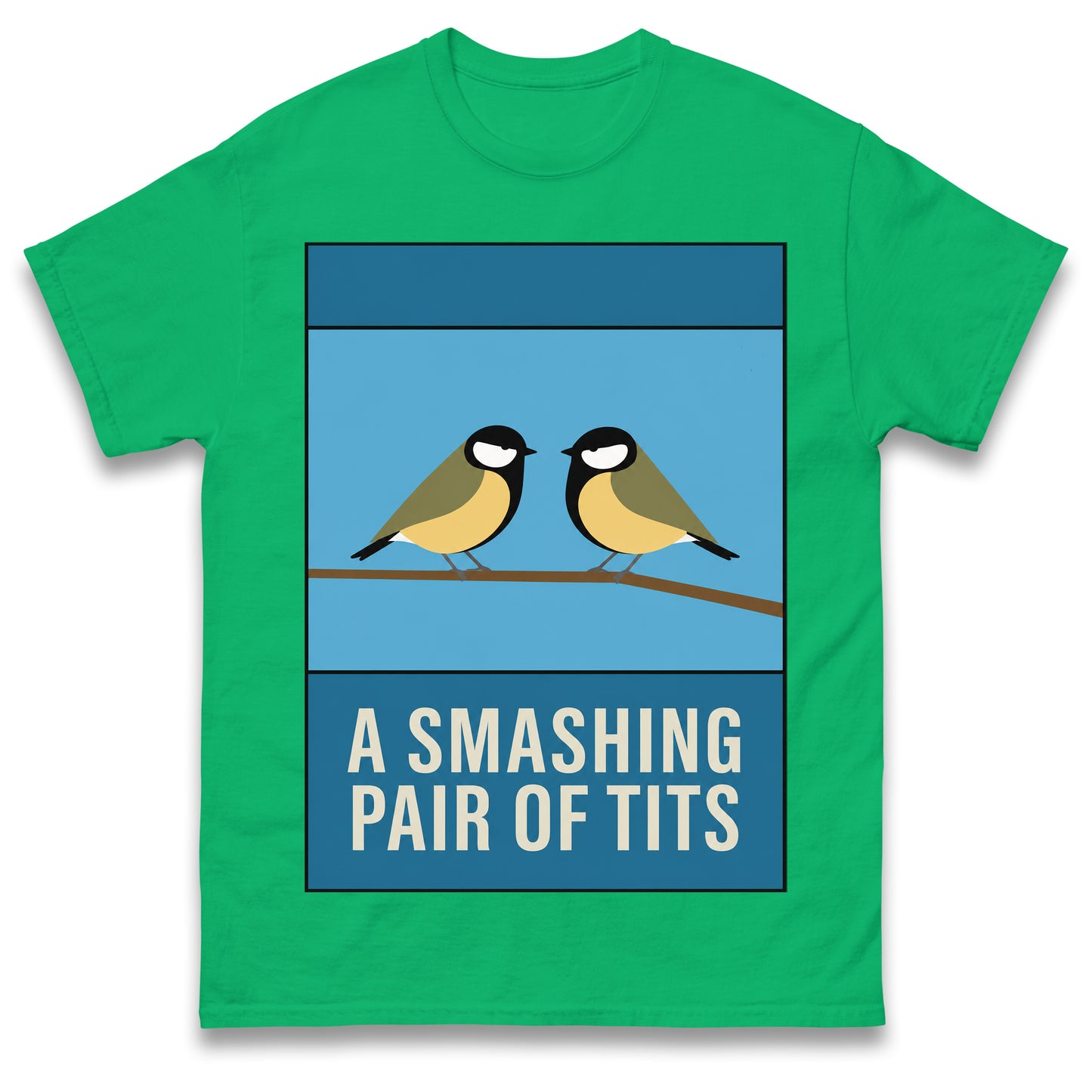 A Smashing Pair of Tits T Shirt