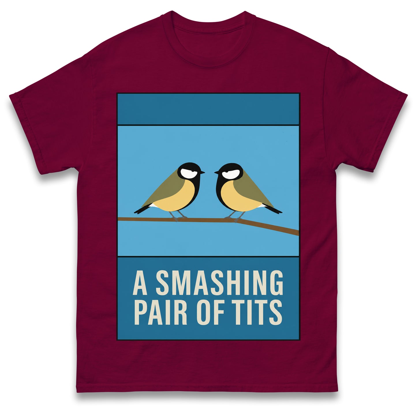 A Smashing Pair of Tits T Shirt