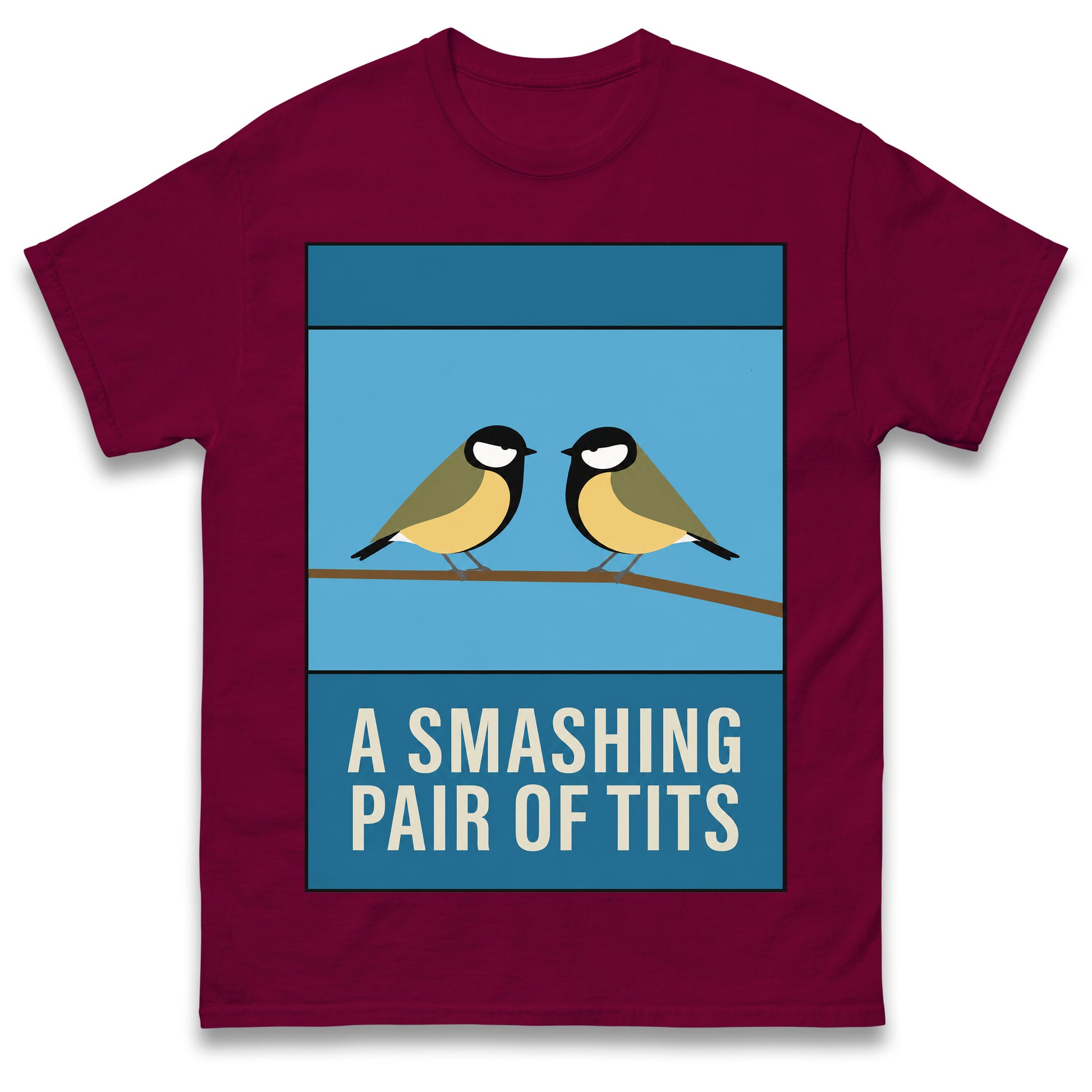 A Smashing Pair of Tits T Shirt