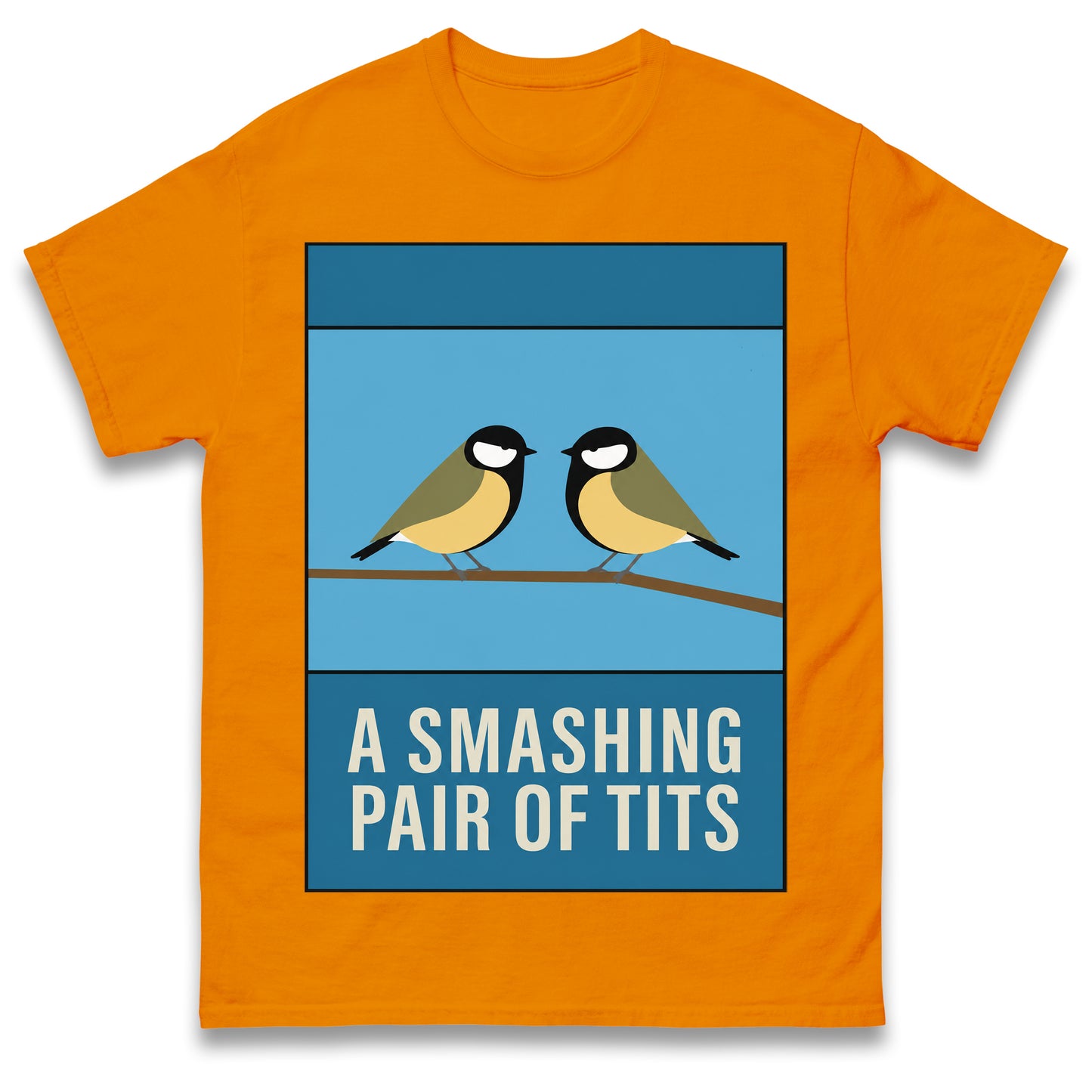 A Smashing Pair of Tits T Shirt