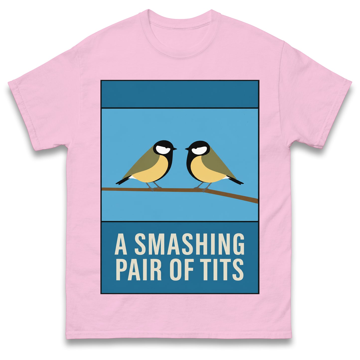 A Smashing Pair of Tits T Shirt