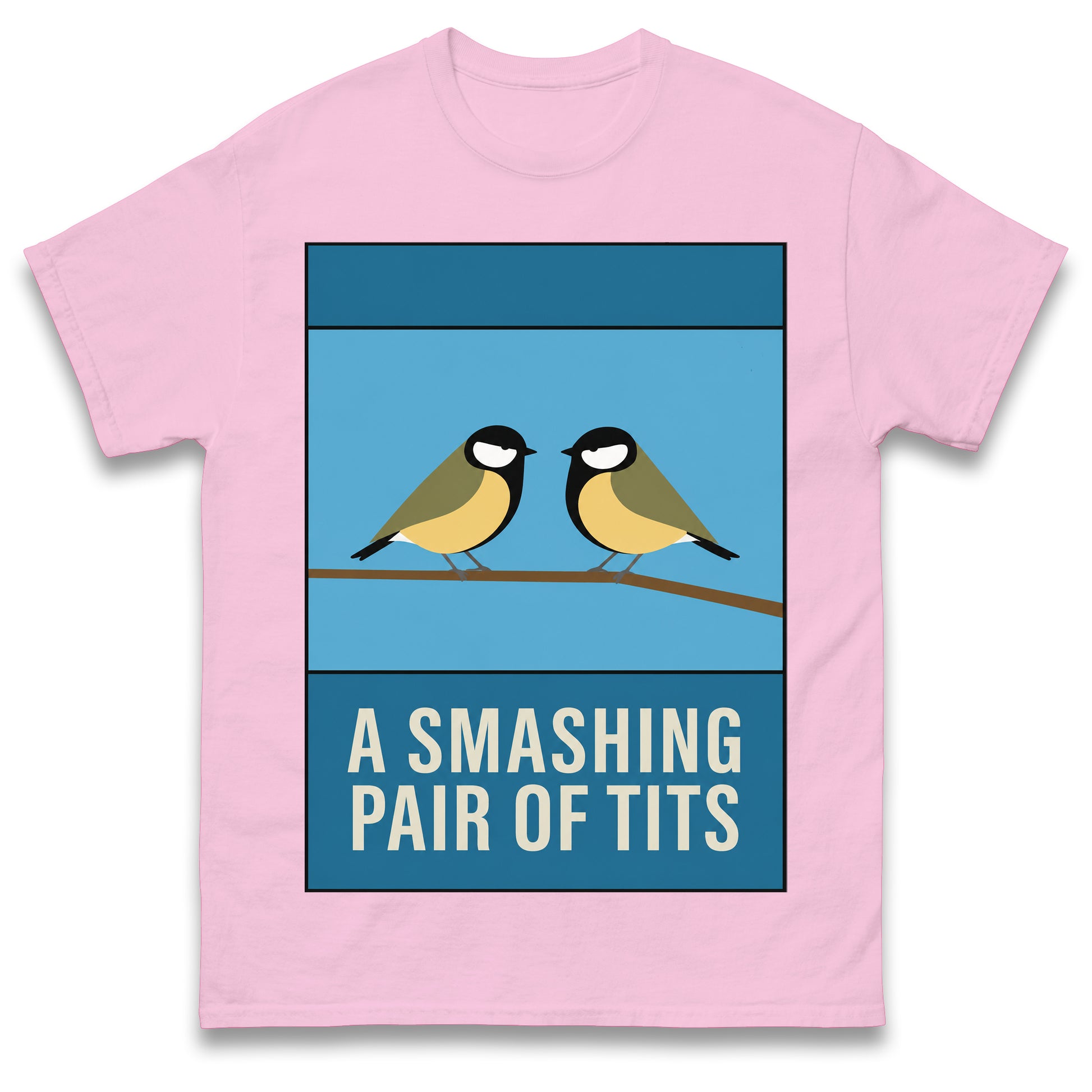 A Smashing Pair of Tits T Shirt