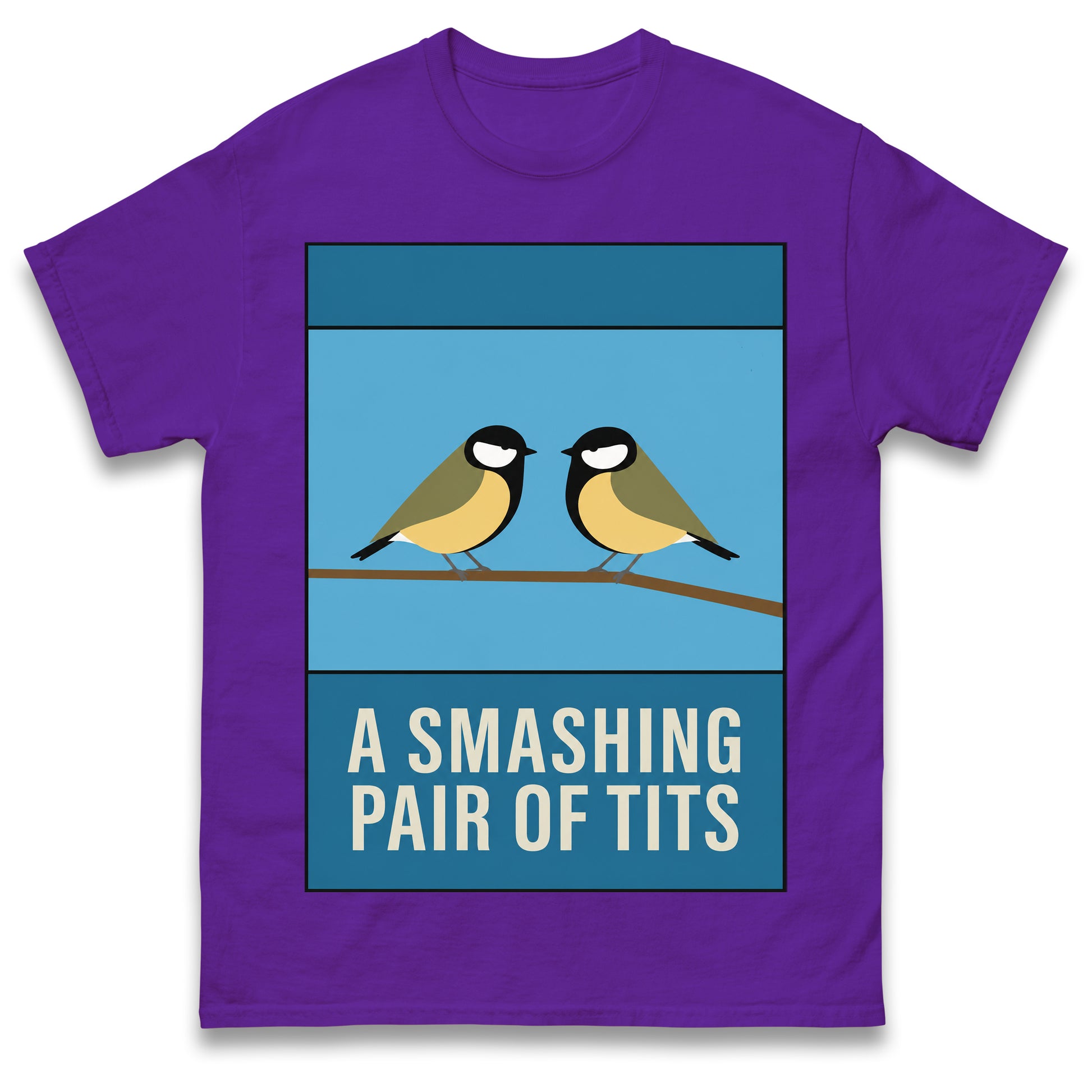 A Smashing Pair of Tits T Shirt