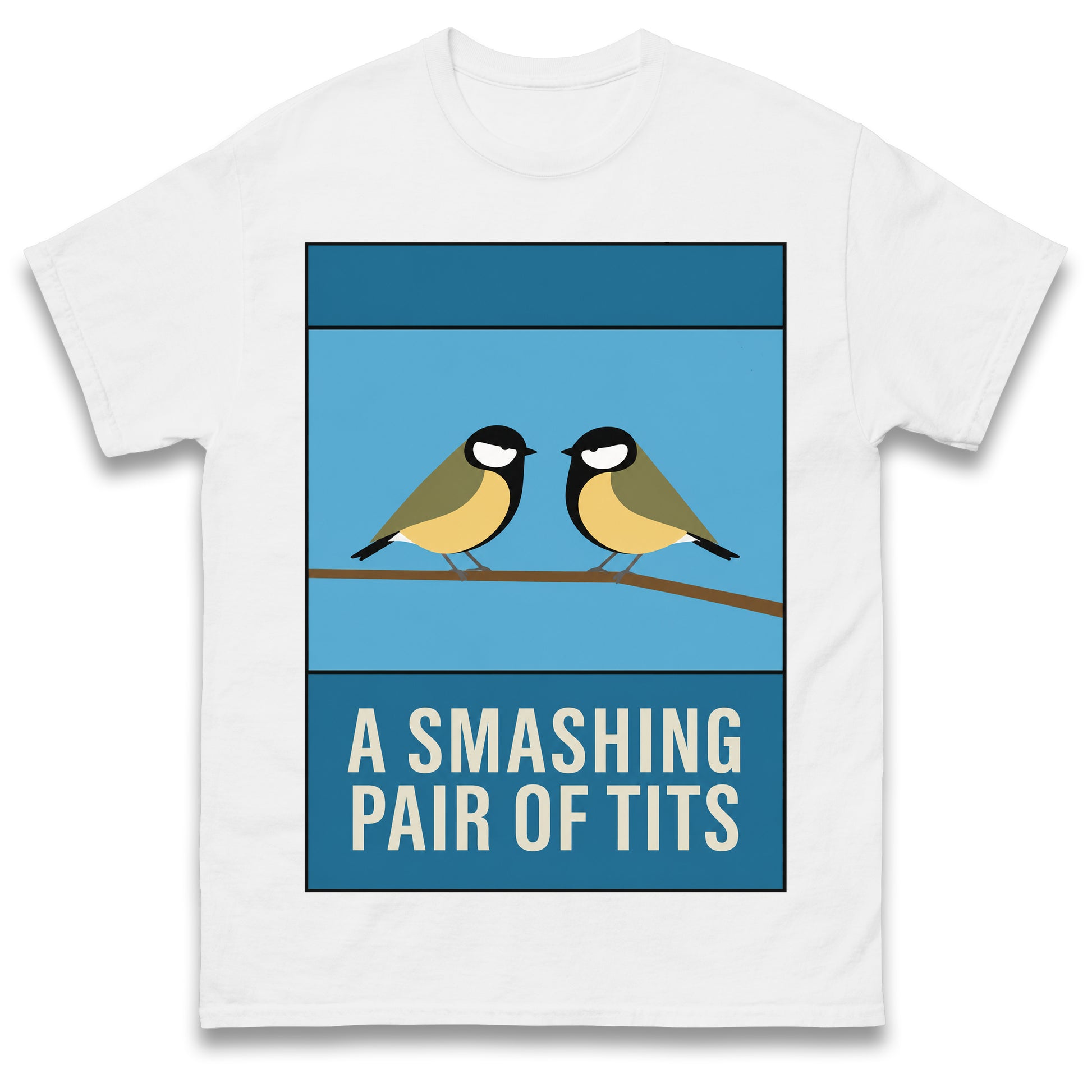 A Smashing Pair of Tits T Shirt