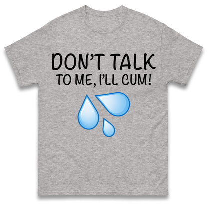 Don't Talk To Me I'll Cum T Shirt
