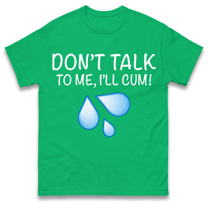 Don't Talk To Me I'll Cum T Shirt