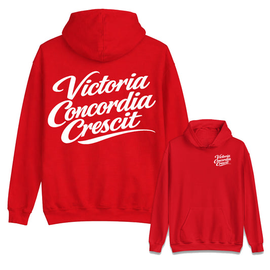 Arsenal Motto Football Hoodies