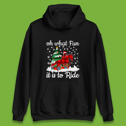 horse riding christmas hoodie