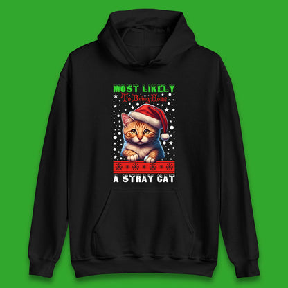 Stray Cat Christmas Unisex Hoodie