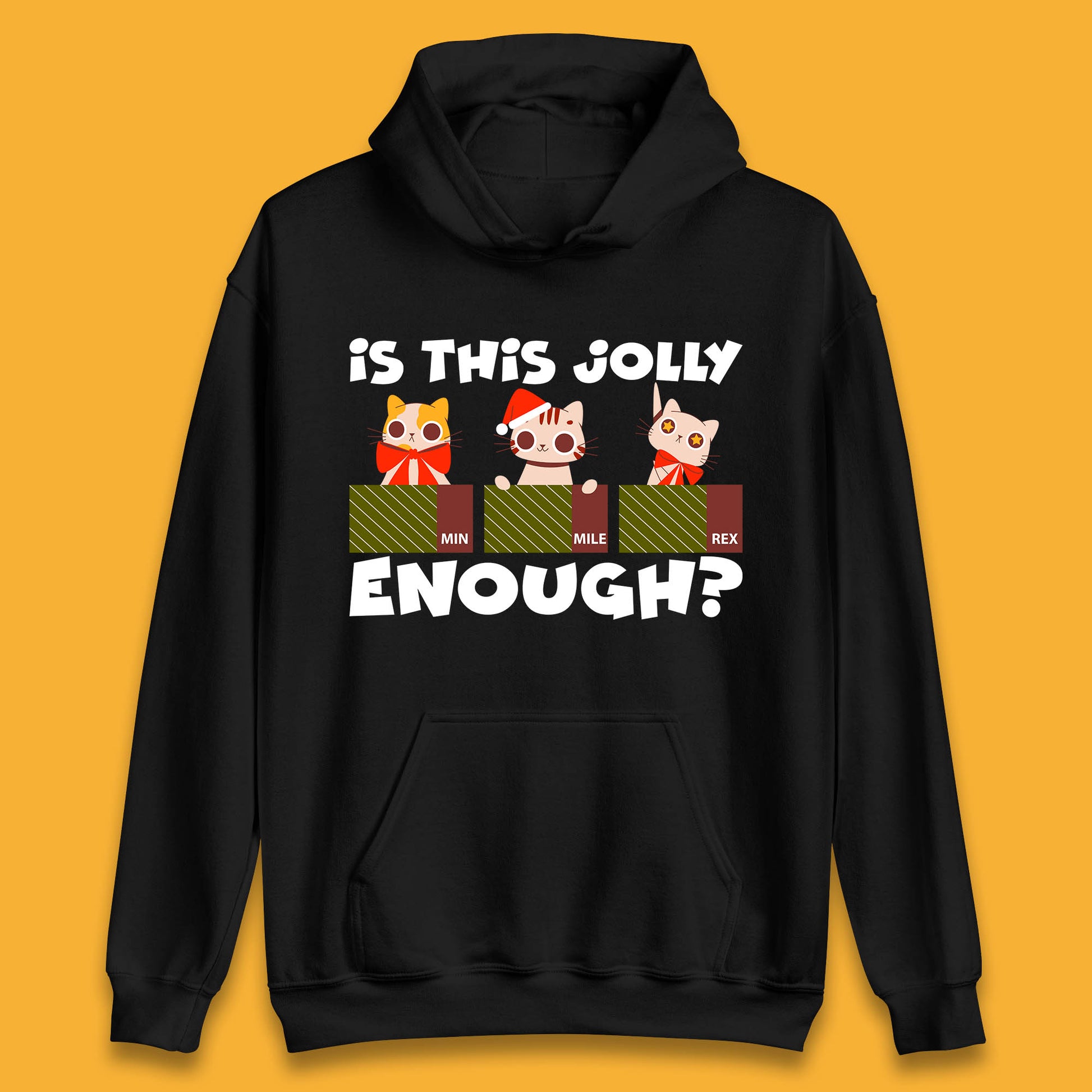 christmas cat hoodie