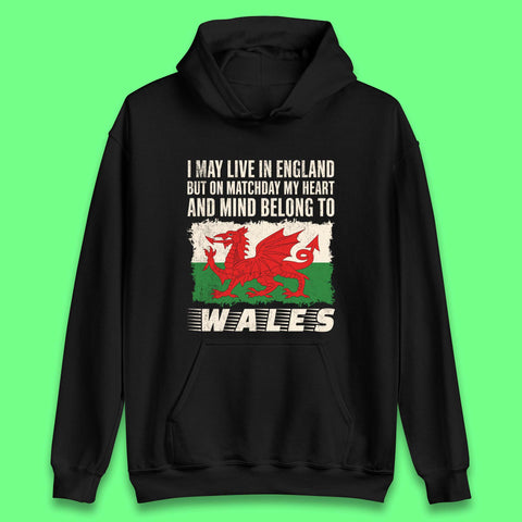 Welsh Football Team Hoodies for Sale