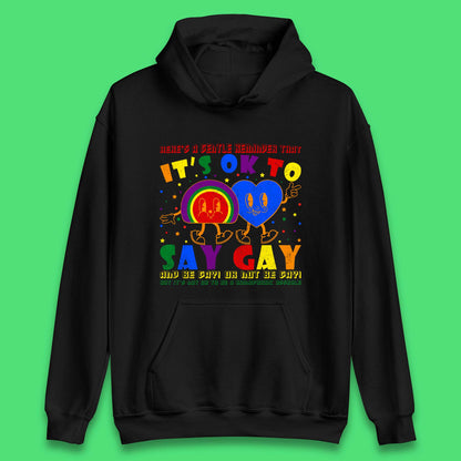 It's Okay To Say Gay Unisex Hoodie